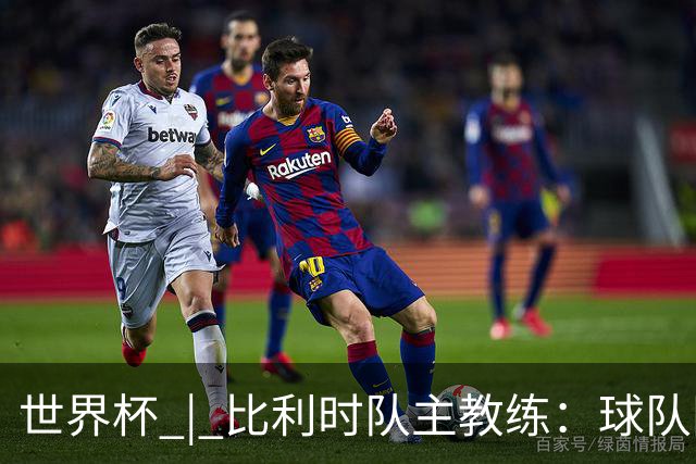 世界杯 | 比利时队主教练：球队阵容齐整，对淘汰赛充满信心